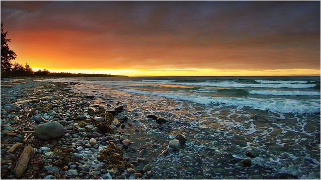 "Seal Bay Sunset" [Explored]