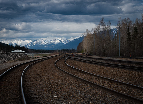 Train Lines - Golden