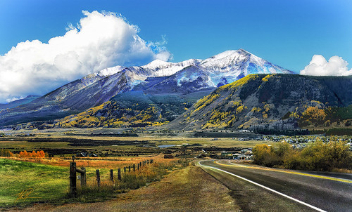 a road with an autumn view