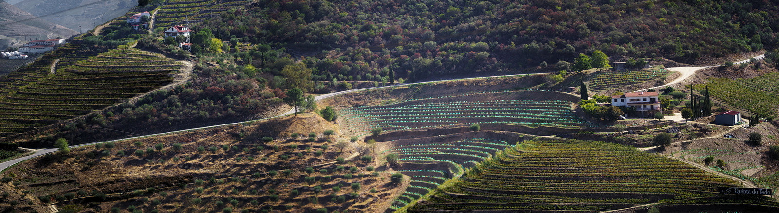 Douro River Valley - Explored