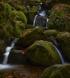 Waterfall I