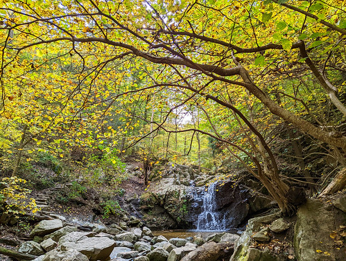 Patapsco State Park