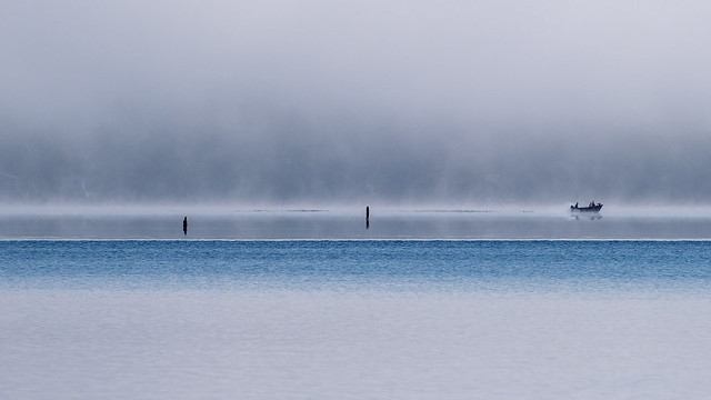 Brume sur le lac