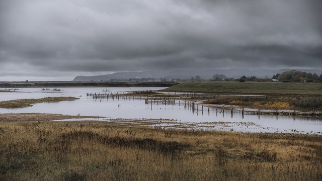 Rye Harbour Nature Reserve, East Sussex UK