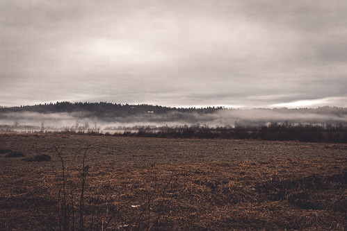 Farmland Fog