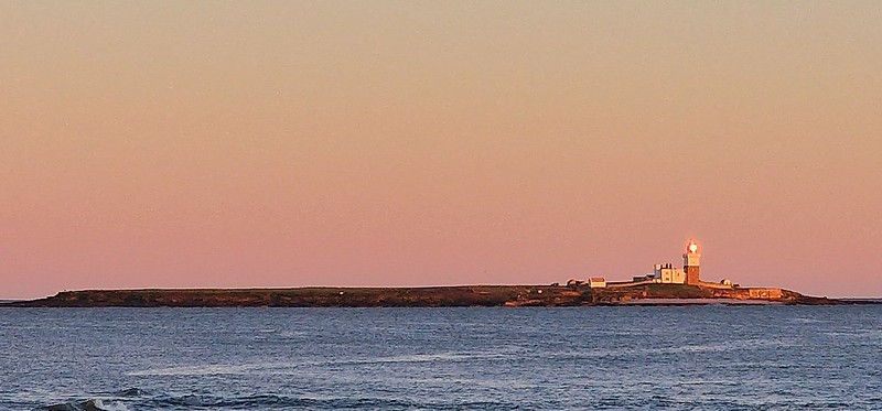 Coquet Island. (Explore 2023-01-03)