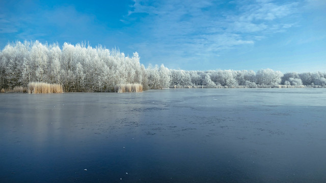 Winter at the lake