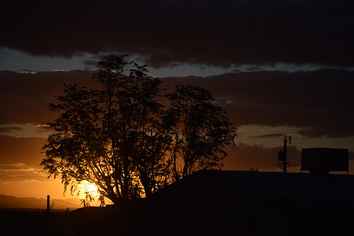 Desert sunset