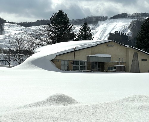 Winter Japan