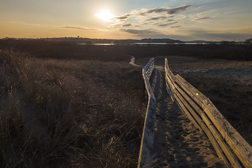 Boardwalk Into The Sun