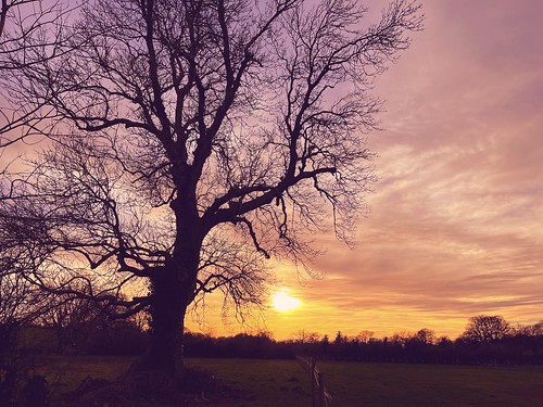 Perfect evening (Explored)