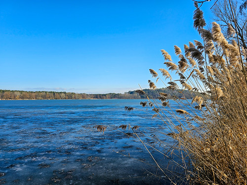 There is still a layer of ice on the Dechsendofer Weiher.