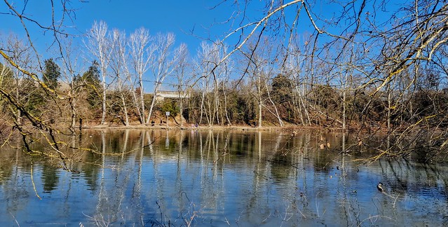 Bassa dels ànecs