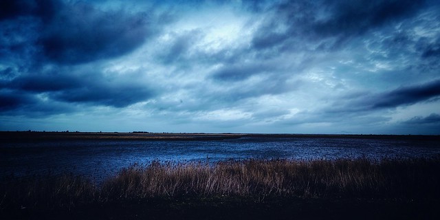 Dutch landscape.