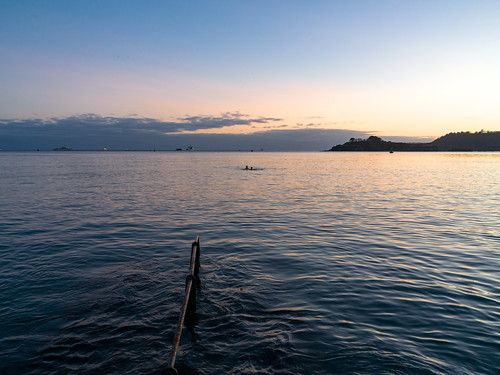 Sunset Swimmers