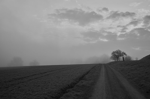 Early morning fog