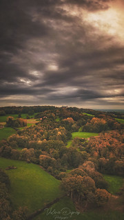 Automne Flandre