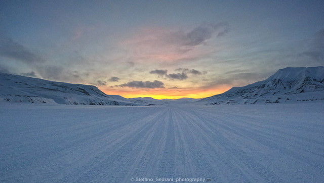 Wonderful Svalbard