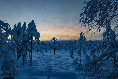 The blue hour with hare tracks