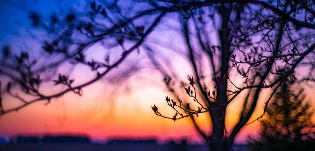 Steelrim Sunset (Explored) (MoodPeppered)