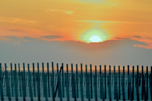 Too Many Fences To Jump Before Sunset