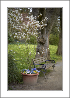 Romberg Park Dortmund