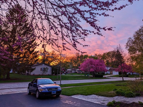 50 shades of pink