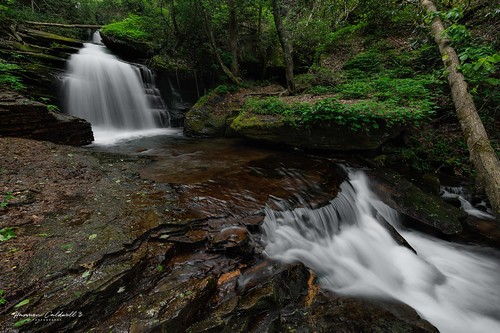 Low Gap Creek Falls [Explore - 05/09/23]