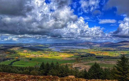 Blessington Lake