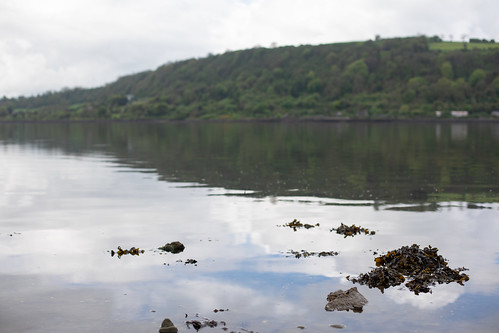 Larne Landscape