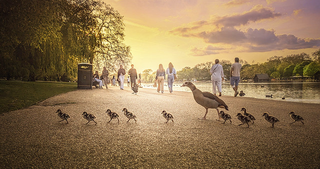 abbey road