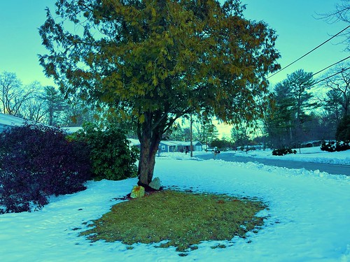 Winter Scene In Chelmsford, MA. - Taken by STEVEN CHATEAUNEUF On March 5, 2023 And Edited On June 1, 2023