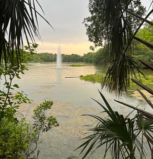 foutain in the park