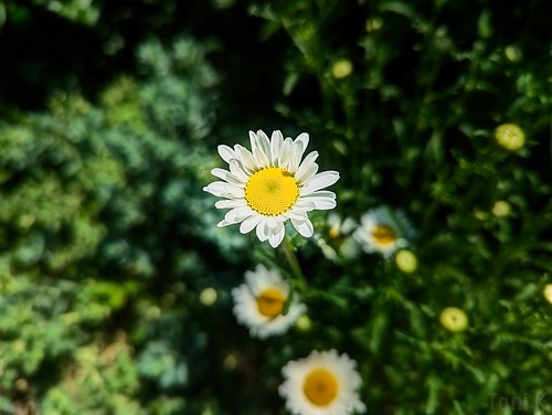 Smiling in the sun