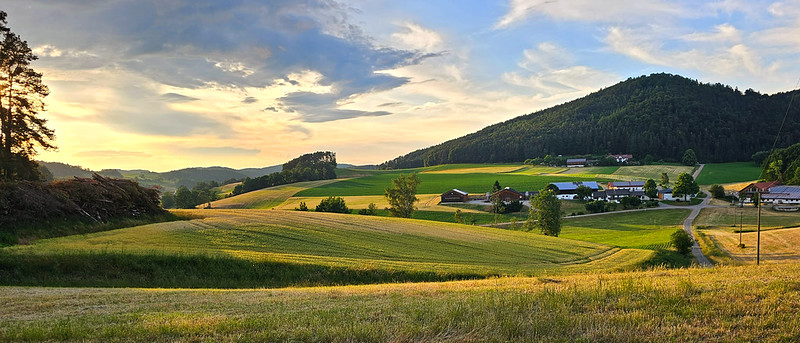 Landscape with low standing sunlight