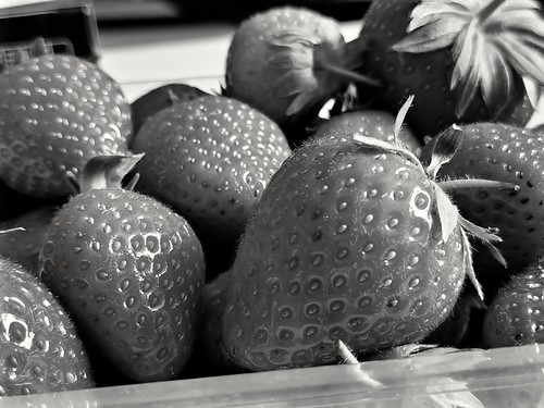 Strawberries in bnw / Erdbeeren in Schwarz und Weiss * EXPLORE *