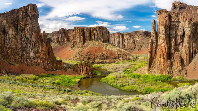 East fork of Owyhee River spring at the Tuleâs