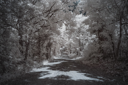 Ridge Road Infrared