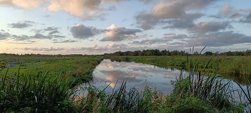 Stilte op het Friese platteland