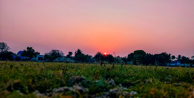 Sunset evng