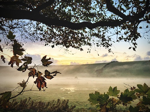 Evening Valley Mist