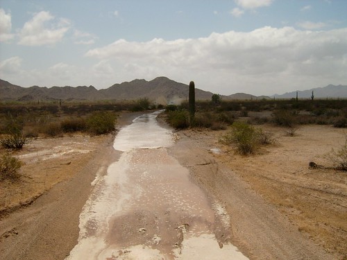 Flooded Desert Road