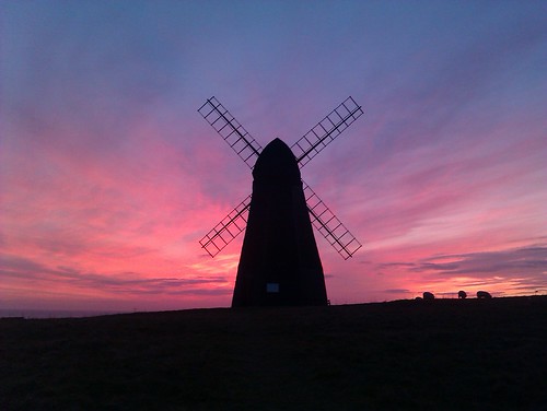 Sheep Grazing Rottingdean 2012