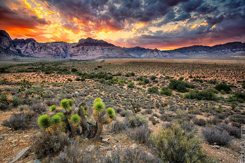 Red Rock Canyon