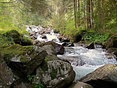 100_2148 rio San Pellegrino