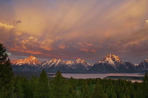 Majestic Morning - Grand Tetons National Park, Wyoming