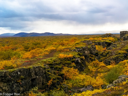 colors of autumn