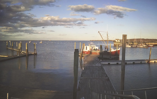 The docks are finally in the water down at the public landing! - Rockland Maine