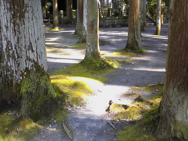 Zuiganji tenple, at Matsushima, Miyagi, Japan by countryside0130