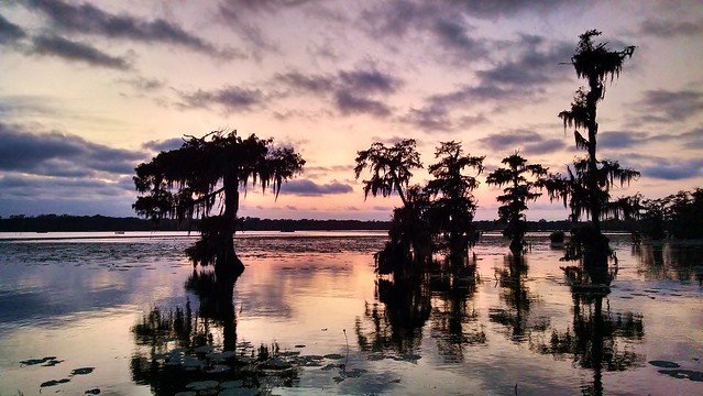 Lake Martin at Dusk